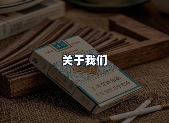 关于我们